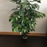 太阳之门公寓 *